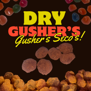 Dry Fruit Gushers (Seco's)